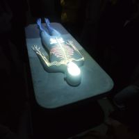 img 20230331 img 20230331