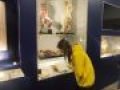img 20230331