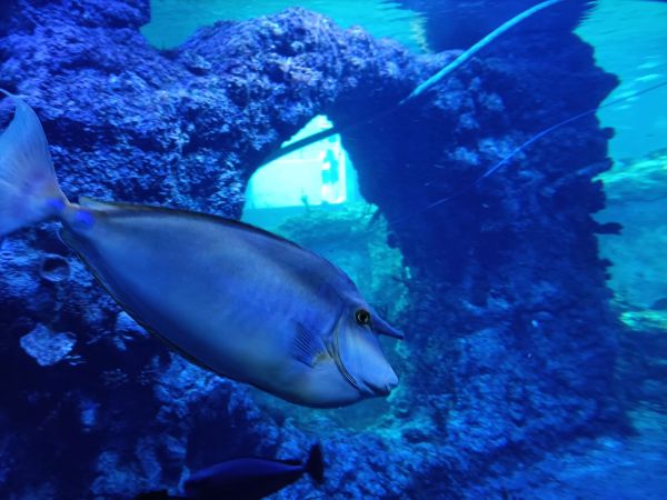 img20230526121318 img20230526121318